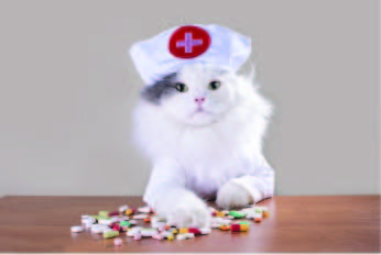 Pet Pharmacy