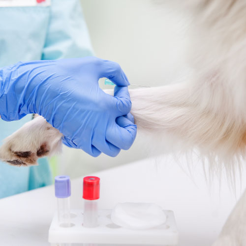 Lab_2 Lab_2