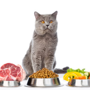 Nutrition