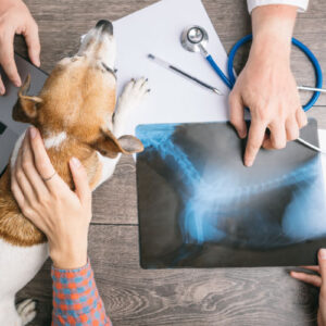Radiology