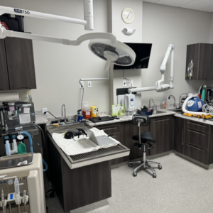 dental